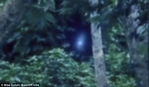 Click to enlarge Braz-Alien_3
