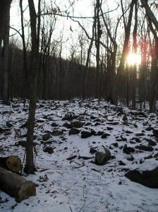 Winter Solstice