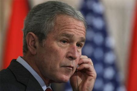 Bush
