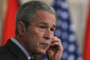 Bush