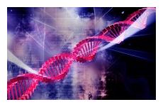 DNA