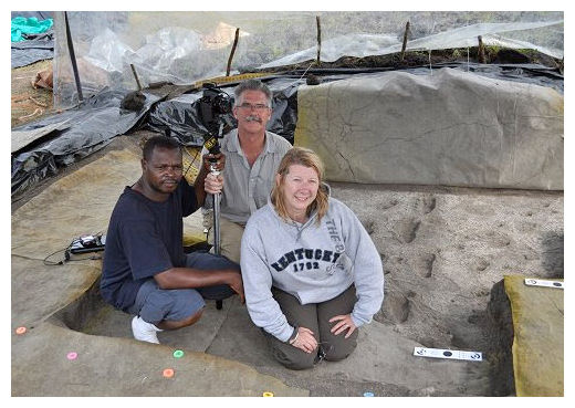 Click to enlarge Early Hominids