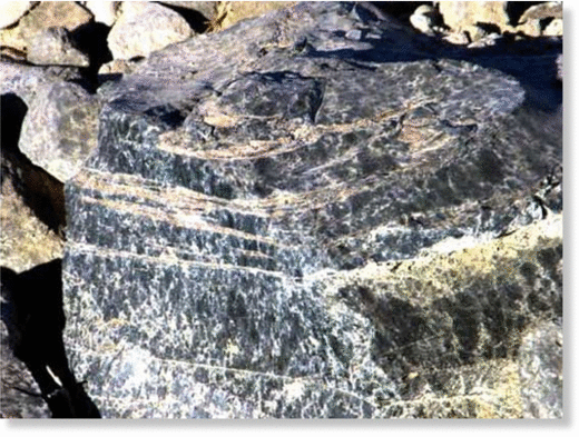 Click to enlarge Image