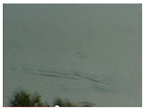 Click to enlarge Ogopogo