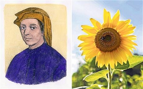 Fibonacci numbers math