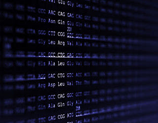Human Genome Sequence