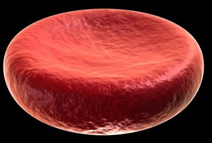 Red Blood Cell