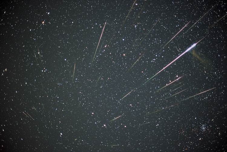 Leonids