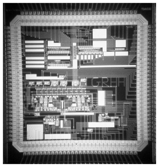 Neuronal Chip