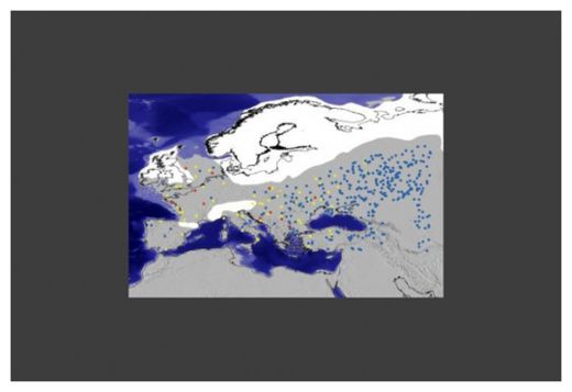 Click to enlarge Early Hominins
