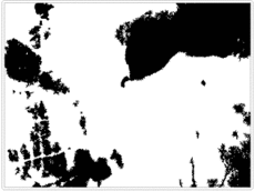 Click to enlarge Image