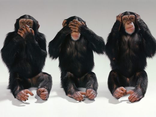 hear,see,speak no evil