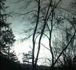 Mysterious flashes of light