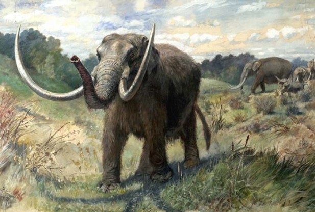 Mastodon