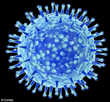 Click to enlarge flu virus