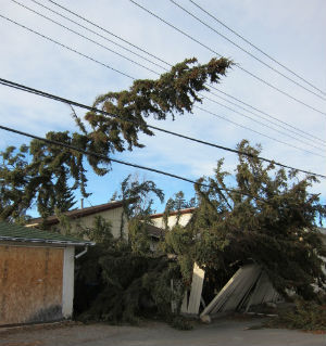 calgary windstorm