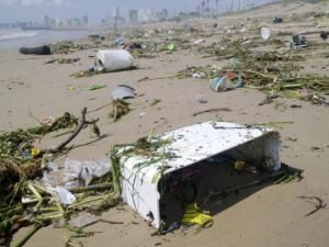 Durban Storm debris