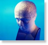 head,brain