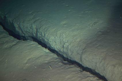 Cracked Seafloor
