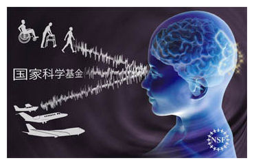 Click to enlarge Visual Learning