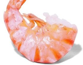 shrimp