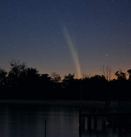Lovejoy's Tail