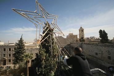 Manger Square Christmas tree