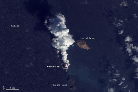 New Island in Red Sea