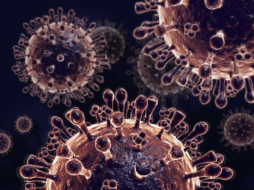 avian flu virus