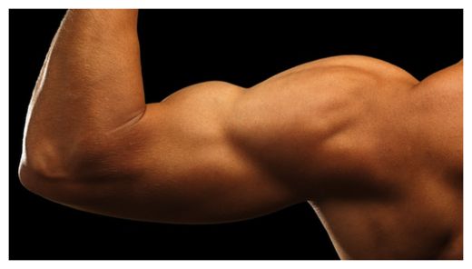 Bicep
