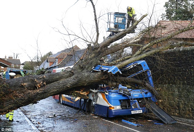 Storm bus crash