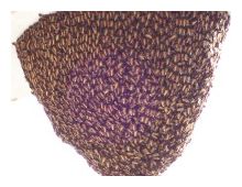 Bee Hive