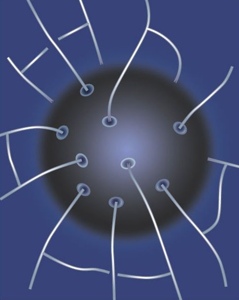 loop quantum gravity signature