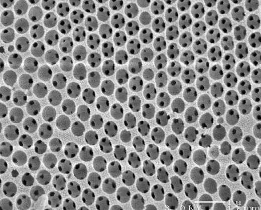 silicon photonic crystal