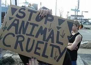 animal rights activists