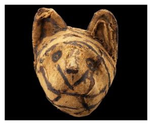 Mummified cat
