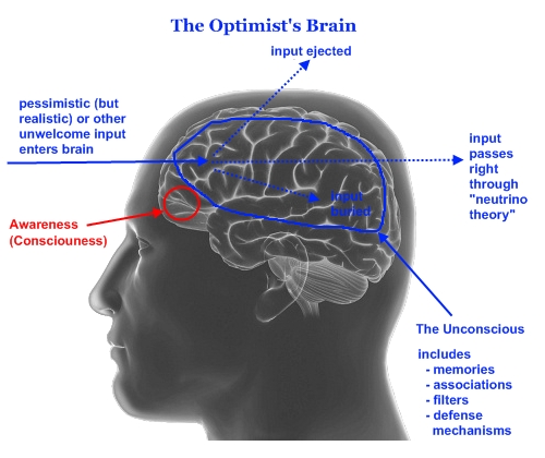 Click to enlarge optimists brain graphic