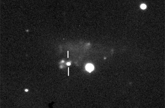 New Supernova