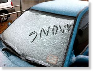 Click to enlarge Summer Snow in Oz