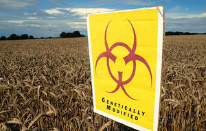 gm crop biohazard sign