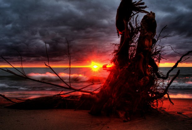 Click to enlarge Lost World