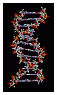 Click to enlarge Genes