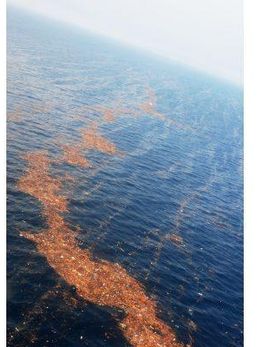 An aerial view of debris lg