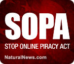 sopa