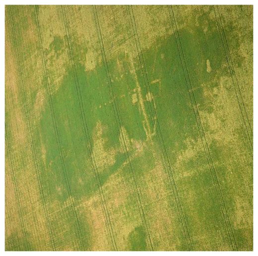 Click to enlarge Mystery Structure