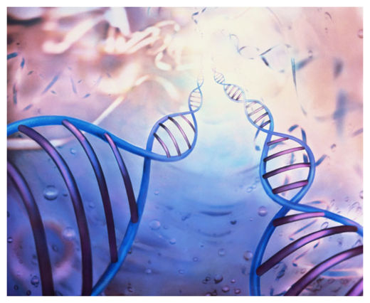 DNA Motor