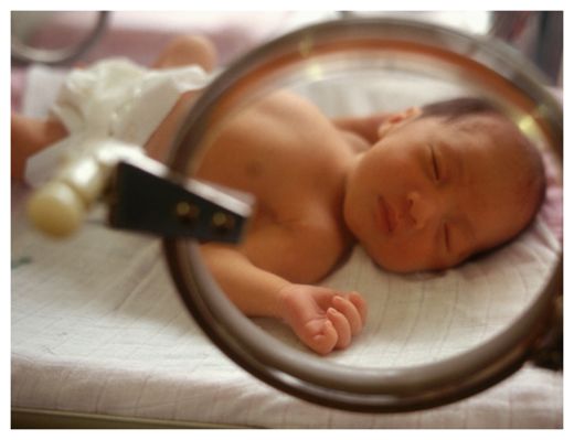 Dragon Baby?