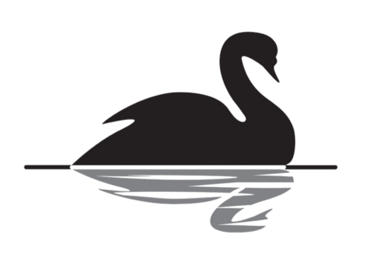 Black Swan