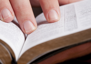 hand & Bible