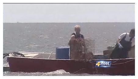 Click to enlarge Gulf Dead Zone